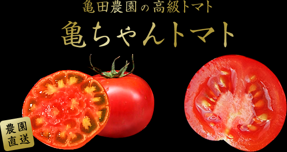 亀田農園の高級トマト 亀ちゃんトマト