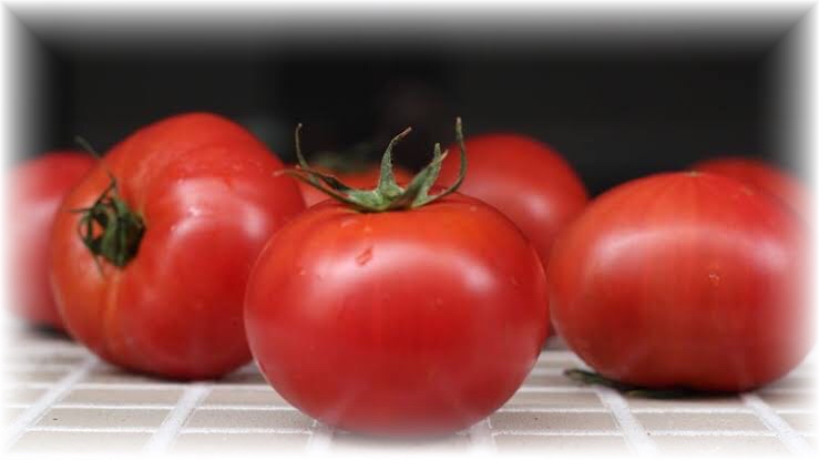 tomato(fruit)